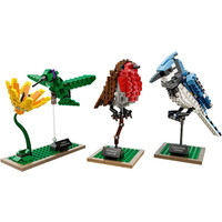 LEGO 21301 Birds Image #2