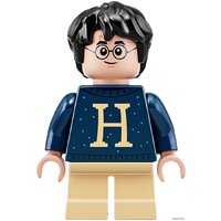 LEGO Harry Potter 75964 Новогодний календарь Harry Potter Image #19