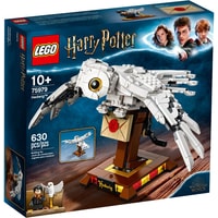 LEGO Harry Potter 75979 Букля Image #1