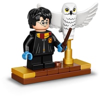 LEGO Harry Potter 75979 Букля Image #4
