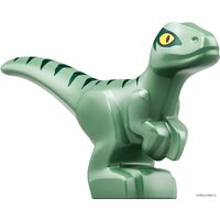 LEGO Jurassic World 75942 Велоцираптор: спасение на биплане Image #19