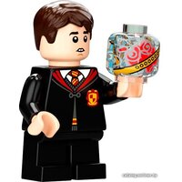 LEGO Harry Potter 76395 Хогвартс: первый урок полетов Image #16