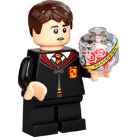 LEGO Harry Potter 76395 Хогвартс: первый урок полетов Image #13