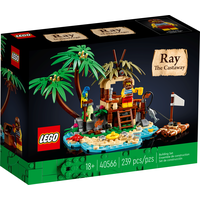 LEGO Ideas 40566 Потерпевший Рэй