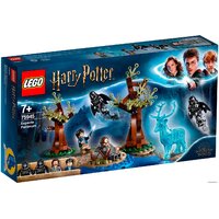 LEGO Harry Potter 75945 Экспекто Патронум Image #1