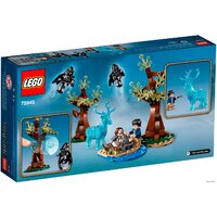 LEGO Harry Potter 75945 Экспекто Патронум Image #2