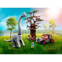 LEGO Jurassic World 76960 Встреча с Брахиозавром Image #9