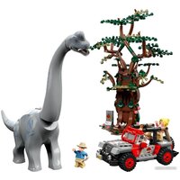 LEGO Jurassic World 76960 Встреча с Брахиозавром Image #3