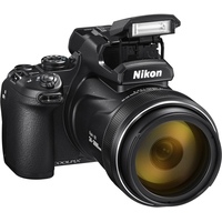 Nikon Coolpix P1000 Image #2