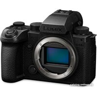 Panasonic Lumix S5 IIX Body Image #10