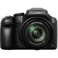 Panasonic Lumix DC-FZ82 Image #1