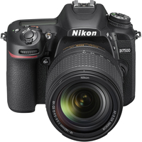 Nikon D7500 Kit 18-140mm VR Image #3