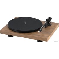 Pro-Ject Debut Carbon EVO (орех матовый) Image #1