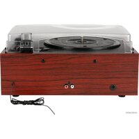 Alive Audio Quattro Wood Image #7