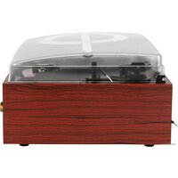 Alive Audio Quattro Wood Image #6