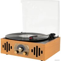 Alive Audio Quattro Light Wood Image #4