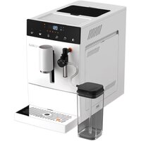 Garlyn L500