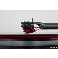 Rega Ania Pro Image #2