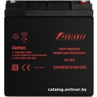 Powerman CA12240/UPS (12В/24 А·ч) Image #2