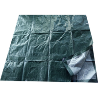 Tarpaulin Тент 6х8 м