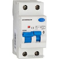 Schrack Technik AK617640