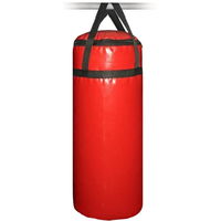 Спортивные мастерские SM-234, 25 кг (красный)