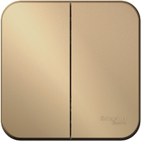Schneider Electric Blanca BLNVA105014
