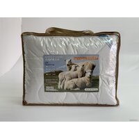 Delford Шерсть Стандарт ПВХ 220x200 4ШХО1-уп11 Image #2