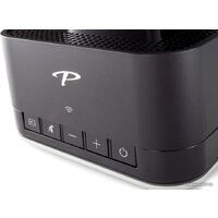 Paradigm PW AMP Image #8