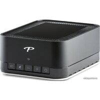 Paradigm PW AMP Image #3