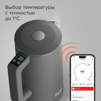 Redmond (Редмонд) SkyKettle KM231S (серый) Image #4