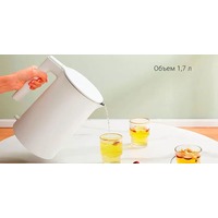 Xiaomi Mijia 2 MJDSH04YM (с переходником на евровилку) Image #5