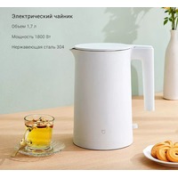 Xiaomi Mijia 2 MJDSH04YM (с переходником на евровилку) Image #4