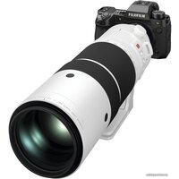 Объектив FUJINON XF150-600mm f/5.6-8 R LM OIS WR - Изображение №7 — Chaika Market