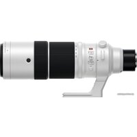 Объектив FUJINON XF150-600mm f/5.6-8 R LM OIS WR - Изображение №14 — Chaika Market