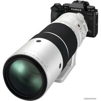 Объектив FUJINON XF150-600mm f/5.6-8 R LM OIS WR - Изображение №11 — Chaika Market