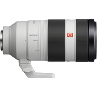Объектив Sony FE 100-400mm F4.5-5.6 GM OSS [SEL100400GM] - Изображение №4 — Chaika Market