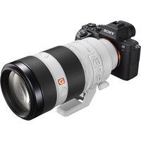 Объектив Sony FE 100-400mm F4.5-5.6 GM OSS [SEL100400GM] - Изображение №9 — Chaika Market
