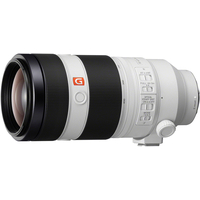 Объектив Sony FE 100-400mm F4.5-5.6 GM OSS [SEL100400GM] - Изображение №5 — Chaika Market