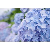 Объектив Tokina atx-m 11-18mm F2.8 E для Sony E - Изображение №7 — Chaika Market