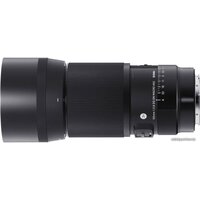 Объектив Sigma 105mm AF F/2.8 DG DN Macro Art для Leica L - Изображение №1 — Chaika Market