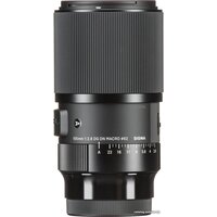 Объектив Sigma 105mm AF F/2.8 DG DN Macro Art для Leica L - Изображение №4 — Chaika Market