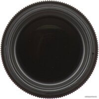 Объектив Sigma 105mm AF F/2.8 DG DN Macro Art для Leica L - Изображение №11 — Chaika Market