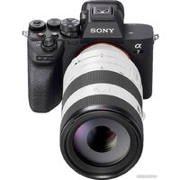 Объектив Sony FE 70-200mm F4 Macro G OSS II - Изображение №6 — Chaika Market