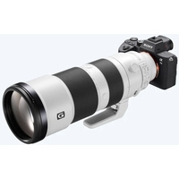 Объектив Sony FE 200-600 mm f/5.6-6.3 G OSS - Изображение №3 — Chaika Market