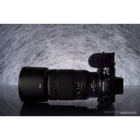 Объектив Nikon NIKKOR Z MC 105mm f/2.8 VR S - Изображение №7 — Chaika Market