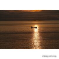 Объектив Sony FE 70-200 mm F2.8 GM OSS II - Изображение №23 — Chaika Market
