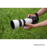Объектив Sony FE 70-200 mm F2.8 GM OSS II - Изображение №21 — Chaika Market