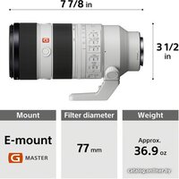 Объектив Sony FE 70-200 mm F2.8 GM OSS II - Изображение №19 — Chaika Market