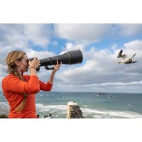 Объектив Nikon NIKKOR Z 800mm f/6.3 VR S - Изображение №17 — Chaika Market